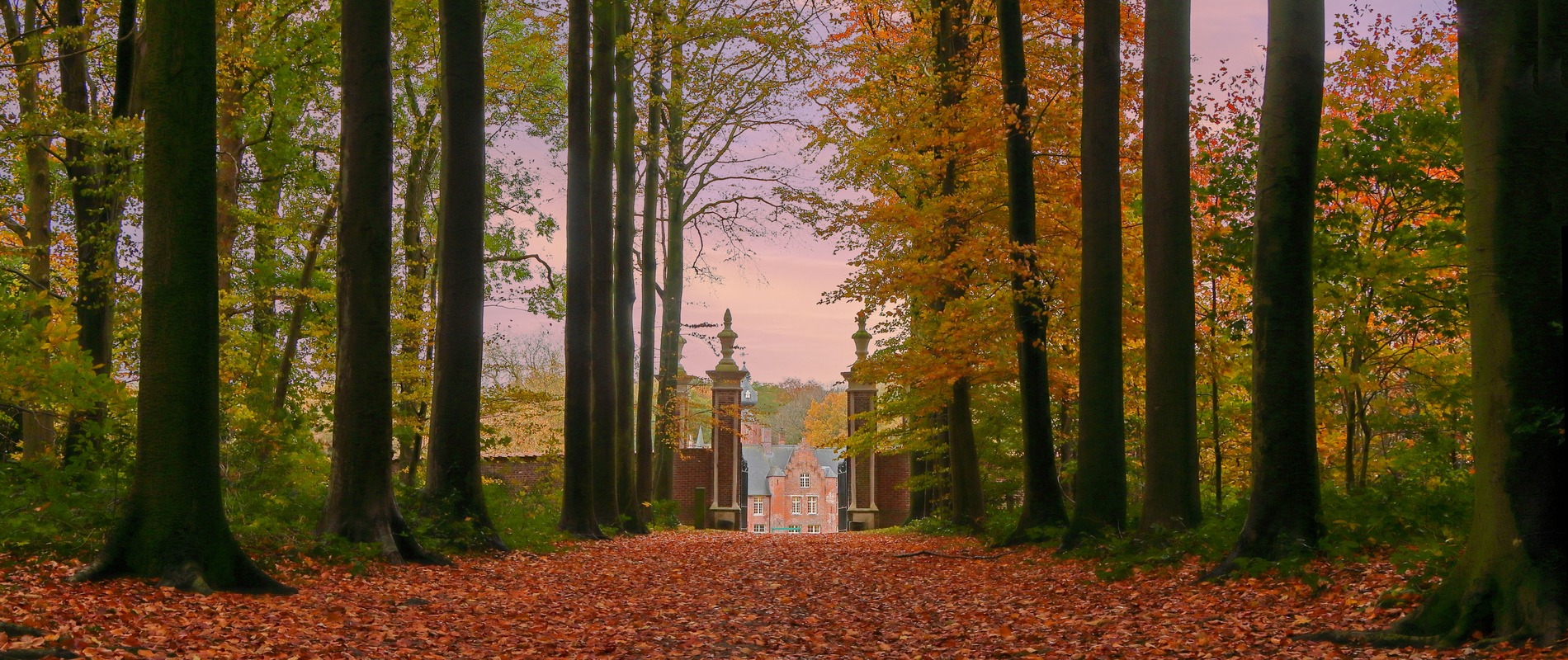 Kom tot rust in het Sterrebos